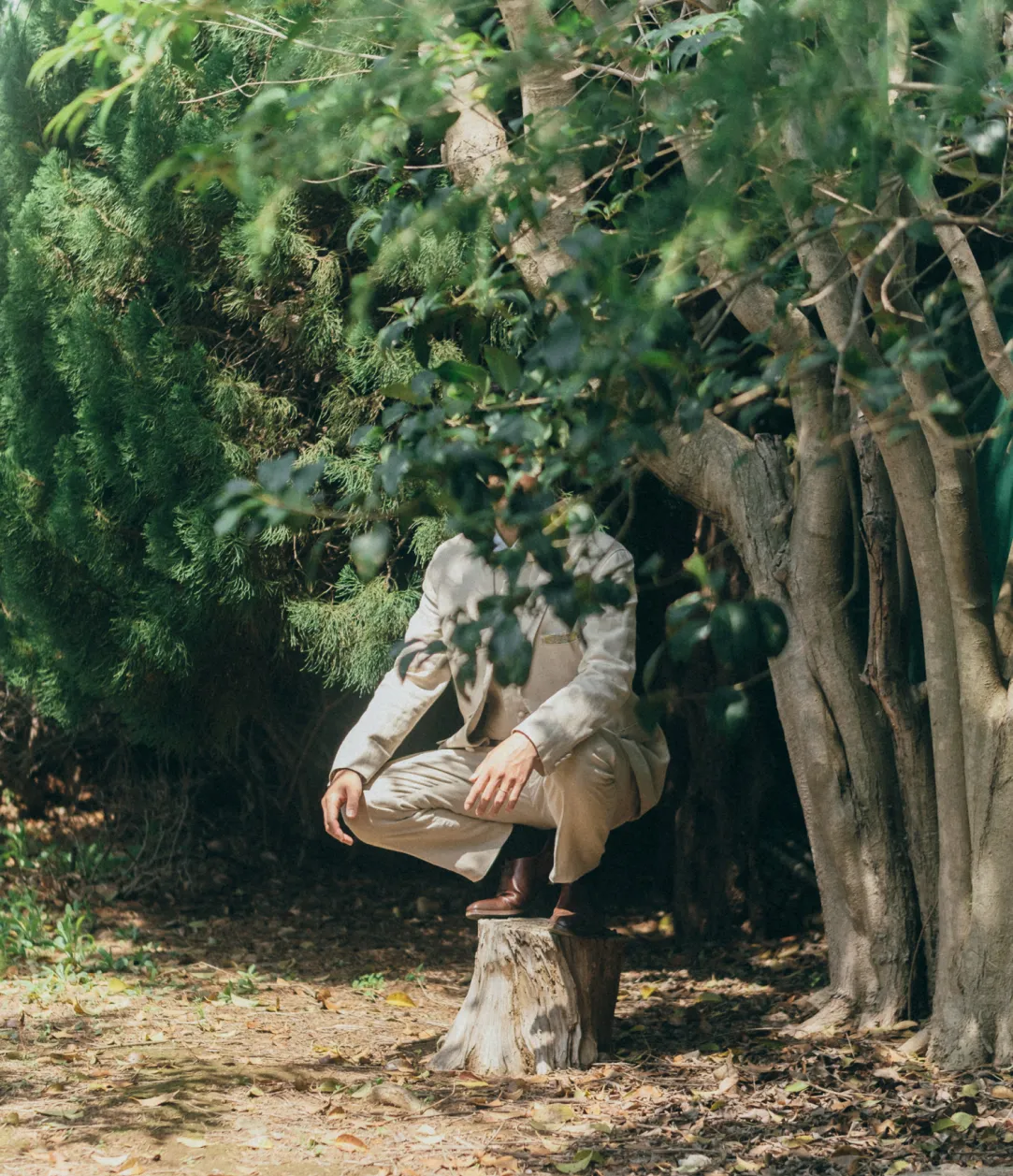 VARIATION 撮影バリエーションのアイキャッチ画像