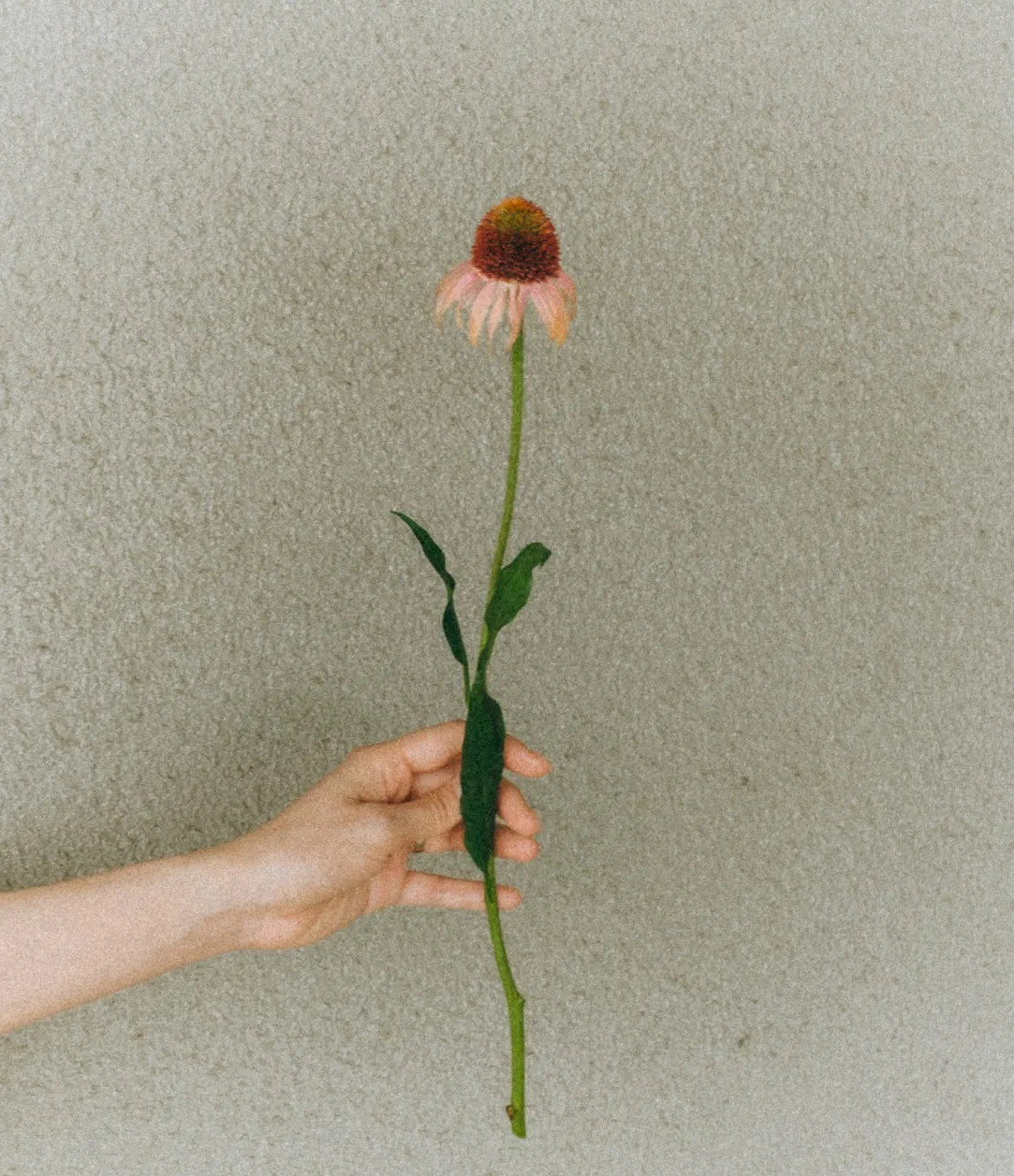 VARIATION 撮影バリエーションのアイキャッチ画像